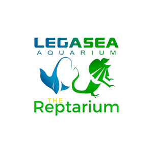 Sea to Sky Gala: Funding the Fight Against Pancreatic Cancer